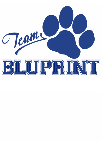 Bluprint Logo