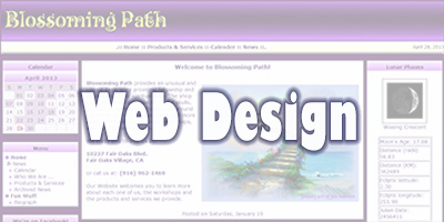 Web Design